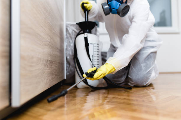 Best Residential Pest Control  in Sawyerwood, OH