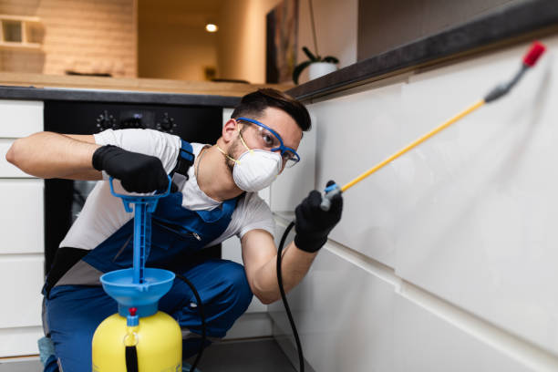 Best Ant Control Services  in Sawyerwood, OH