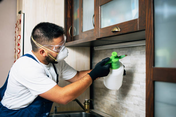 Best Pest Control Treatment  in Sawyerwood, OH