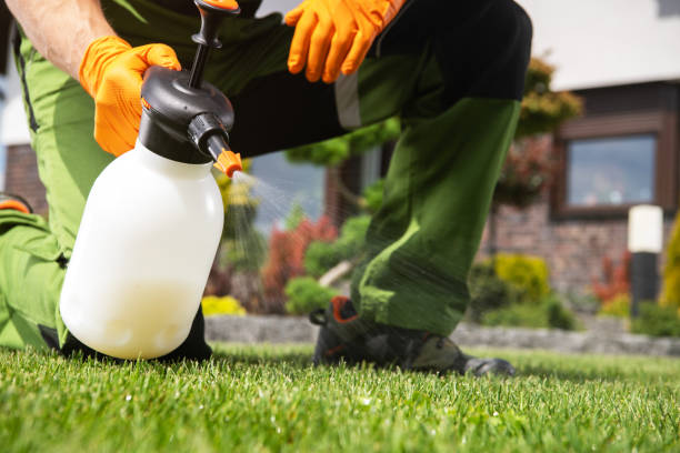 Best Wildlife Control Services  in Sawyerwood, OH