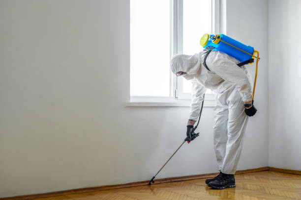 Best Local Pest Control Services  in Sawyerwood, OH