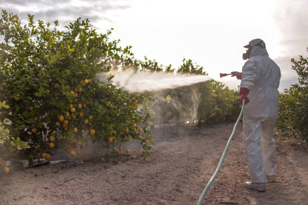 Professional Pest Control in Sawyerwood, OH