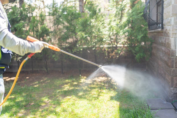 Best Pest Inspection Near Me  in Sawyerwood, OH