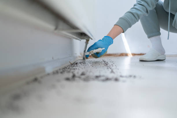 Best Best Pest Control Companies  in Sawyerwood, OH